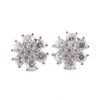 Cluster Setting Zirconia Silver 925 Earrings